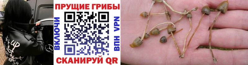 гидра ссылки  Надым  Псилоцибиновые грибы Magic Shrooms  дарнет шоп 